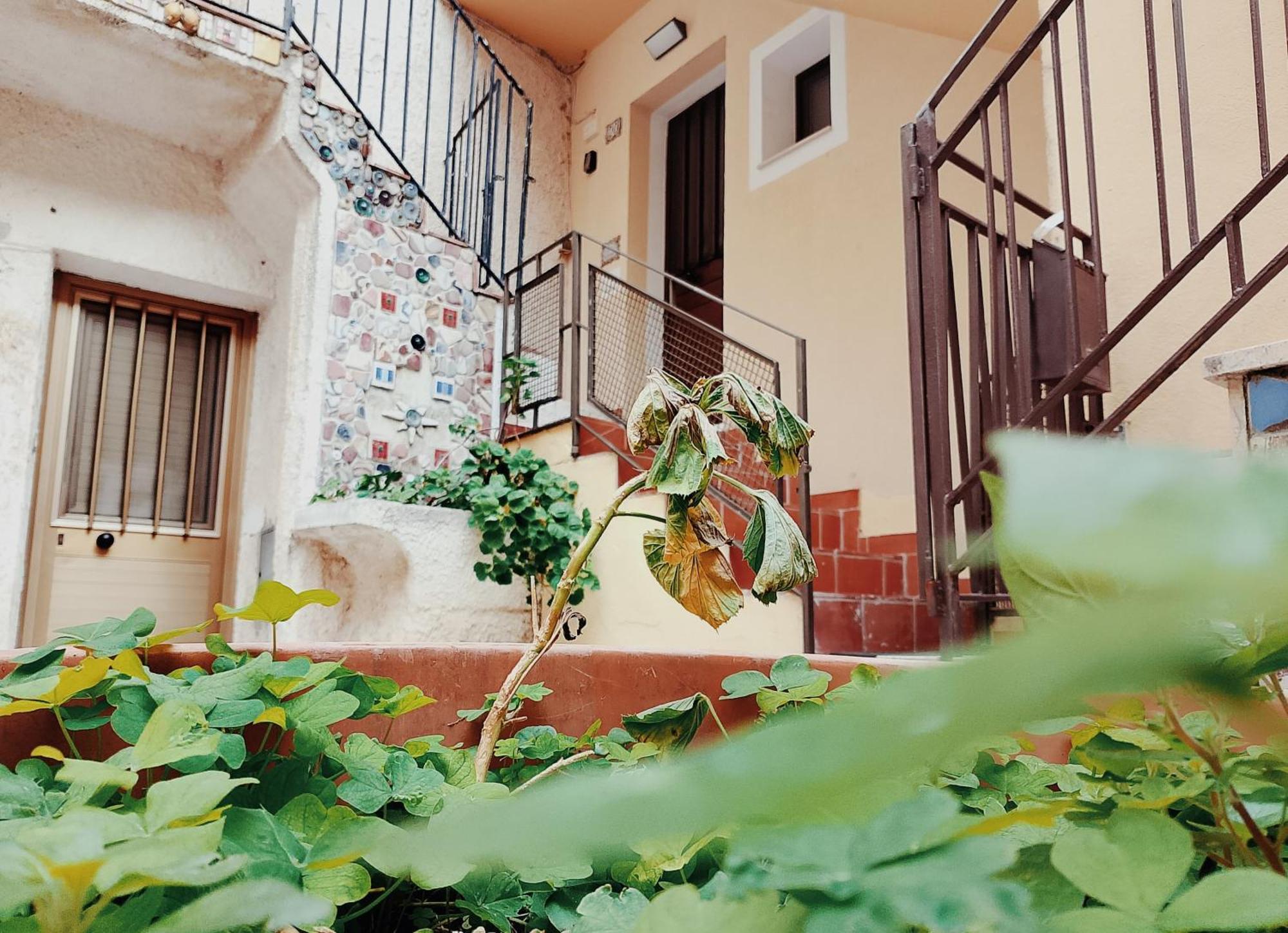 Apartment Cocciu D'amuri